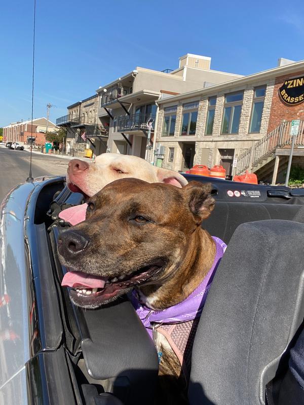 Photo - commentaire&nbsp;3.