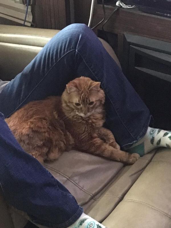 Me and my cat Butch