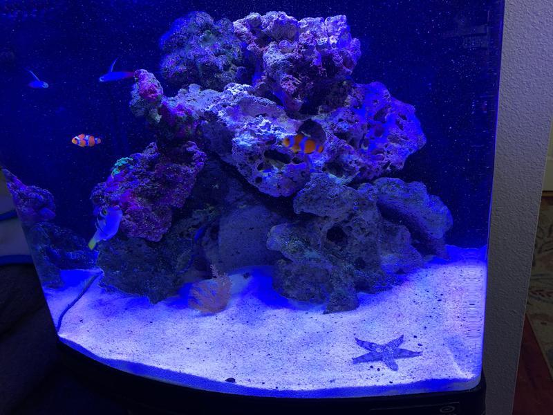 Nano