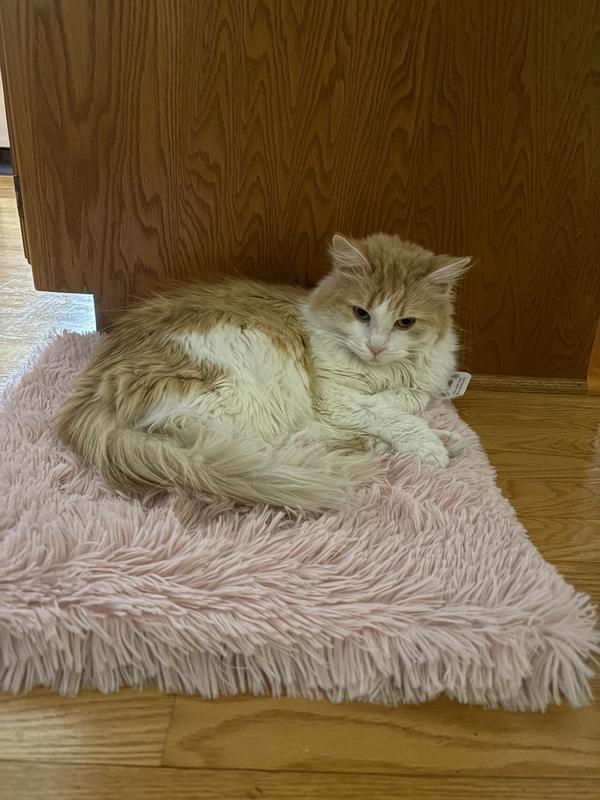 Fluff abounds