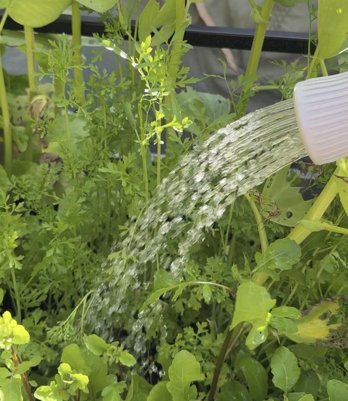 A wide spray pattern, but hard to get any pressure