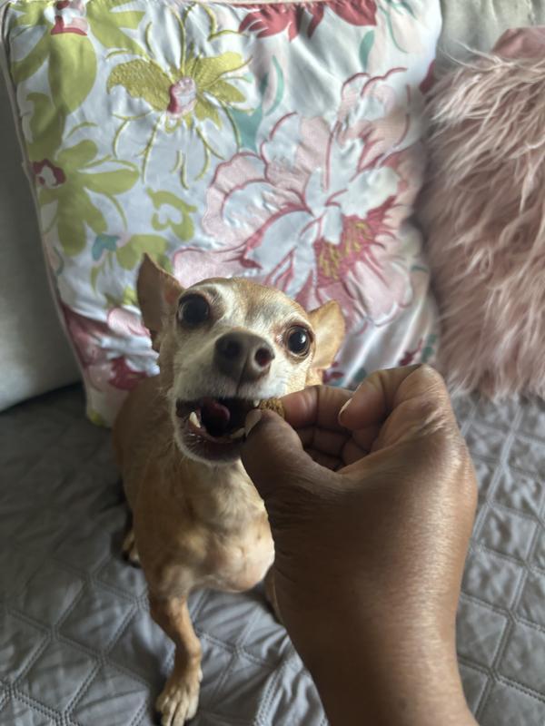First bite. Nom nom.