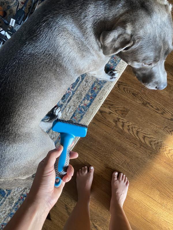 Not much off my dog