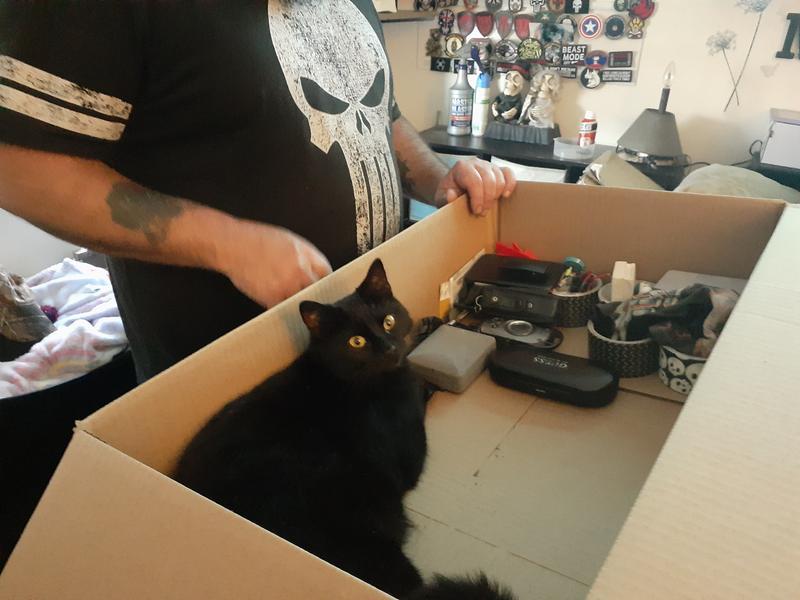 She also loves the petco boxes