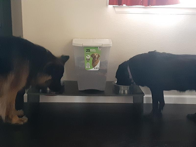 Photo - commentaire&nbsp;7.