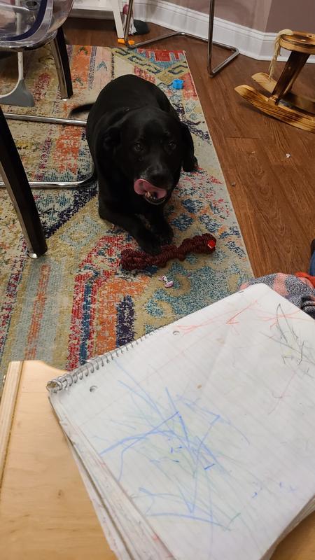 Photo - commentaire&nbsp;8.