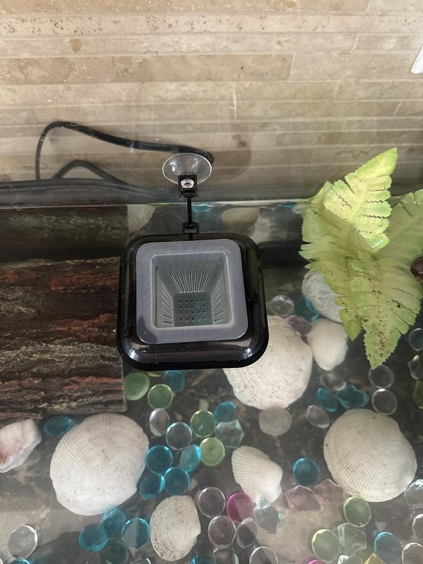 Strainer and main piece in tank