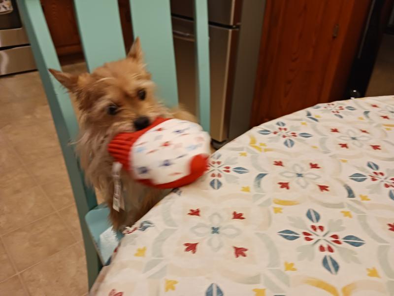 Archie enjoys sitting in a chair at the table playing with a toy when I'm at the table.