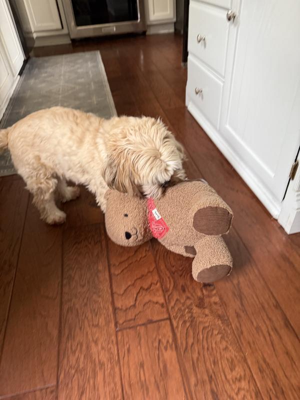 She likes it but a bit big for her