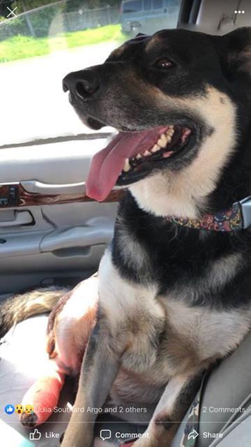 Photo - commentaire 5.