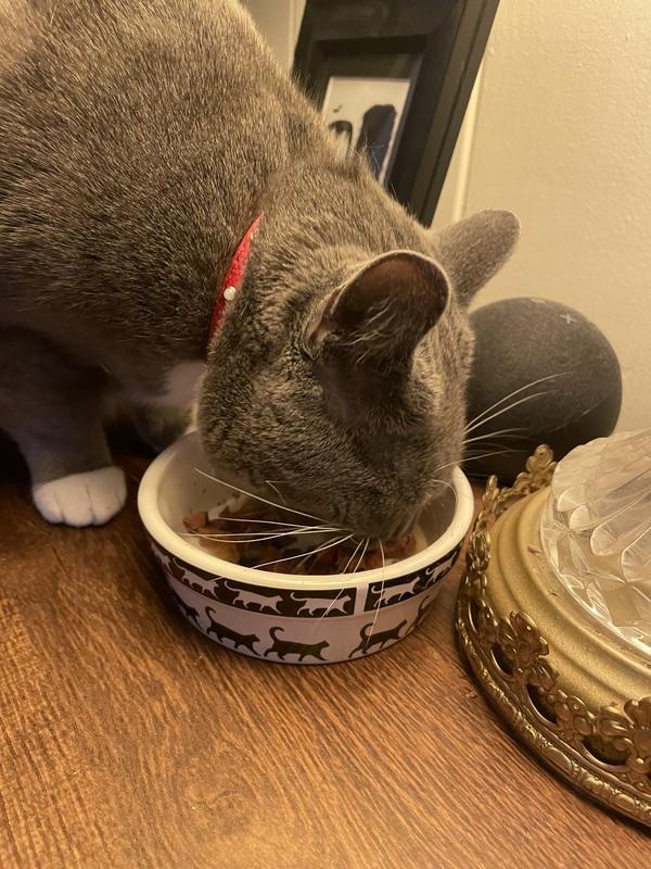 Chowin down!