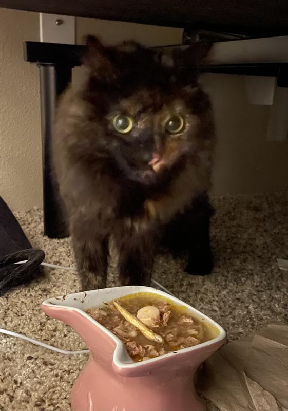 Dressed up bowl of the chicken flavor. She still only ate about half.