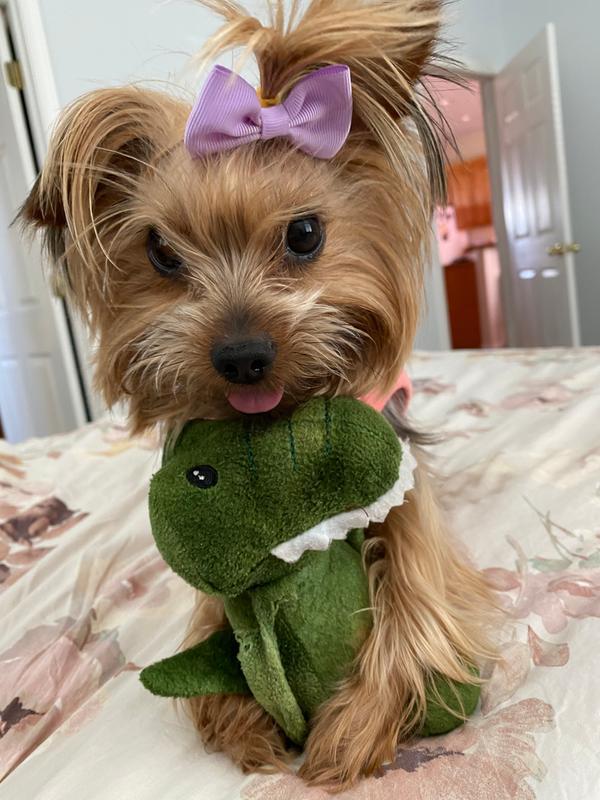 Leilah’s favorite toy, she even brings it to bed with her!