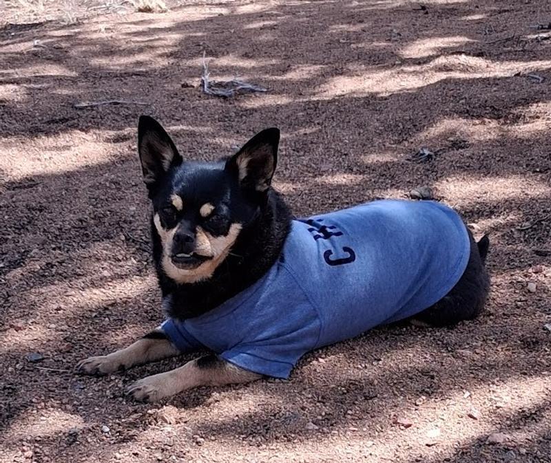 Covered and Comfortable