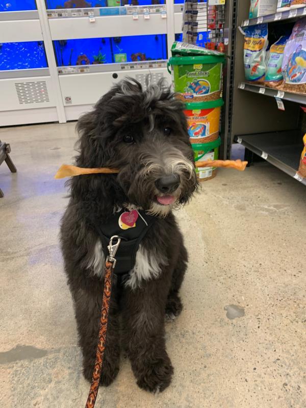 Love my treats from Petco