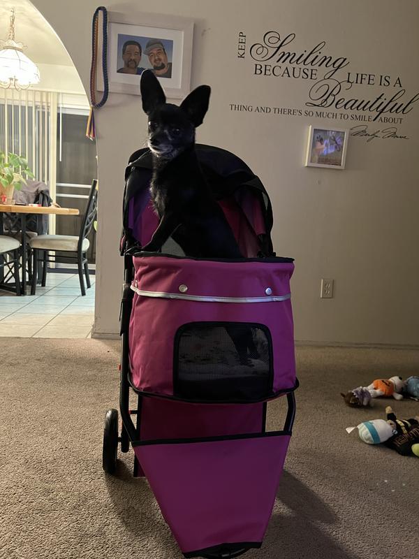 Khloè loves her new stroller