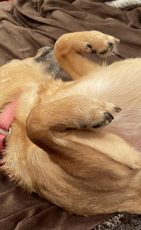He’s feeling a lot more comfortable with the toesie-woesies