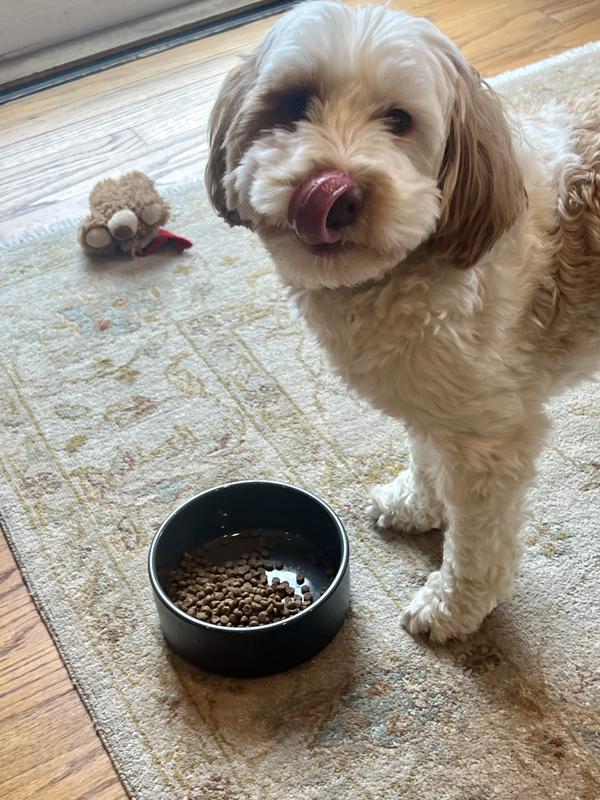 Yum!