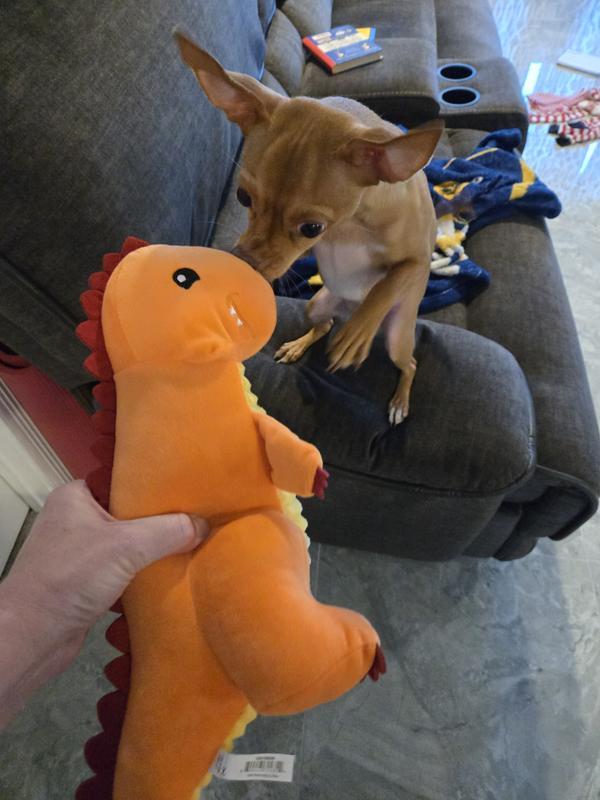Meeting dino