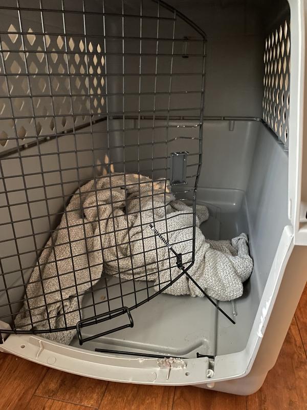 Photo - commentaire 8.