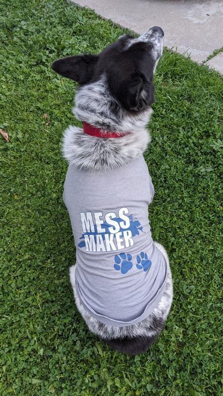 XL fits nicely on my 40 lb dog