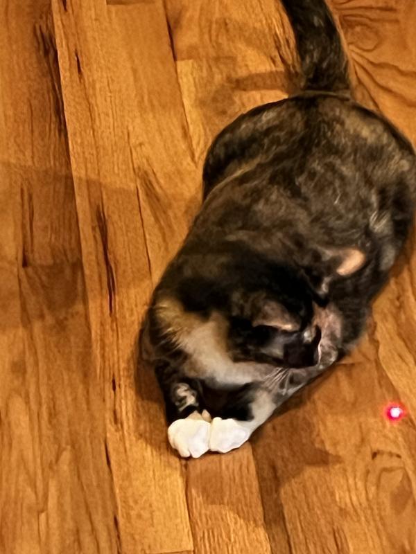 “You can’t see her face, but she is really wanting that dot!