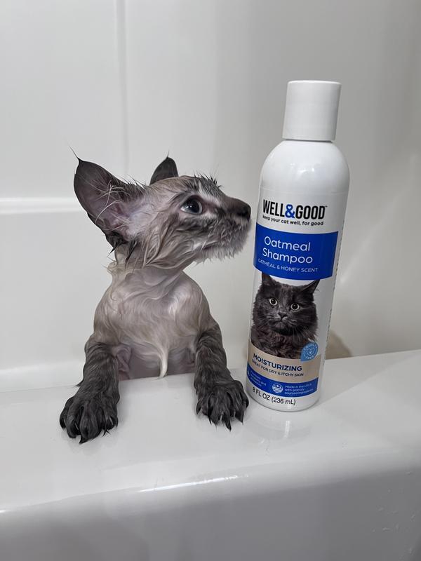 Bowie getting his bath
