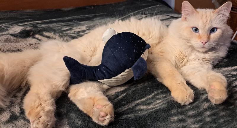 Cuddle buddies!