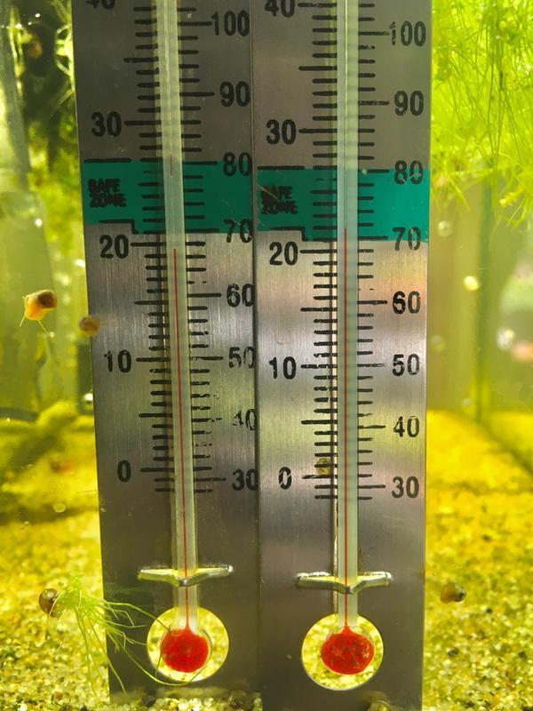 Different temperature readings