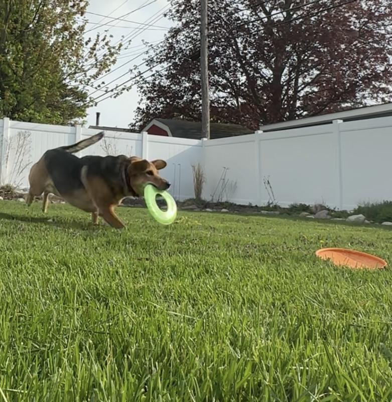 Catch!