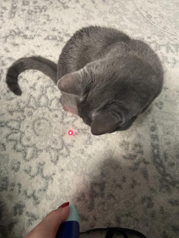 Laser pointer