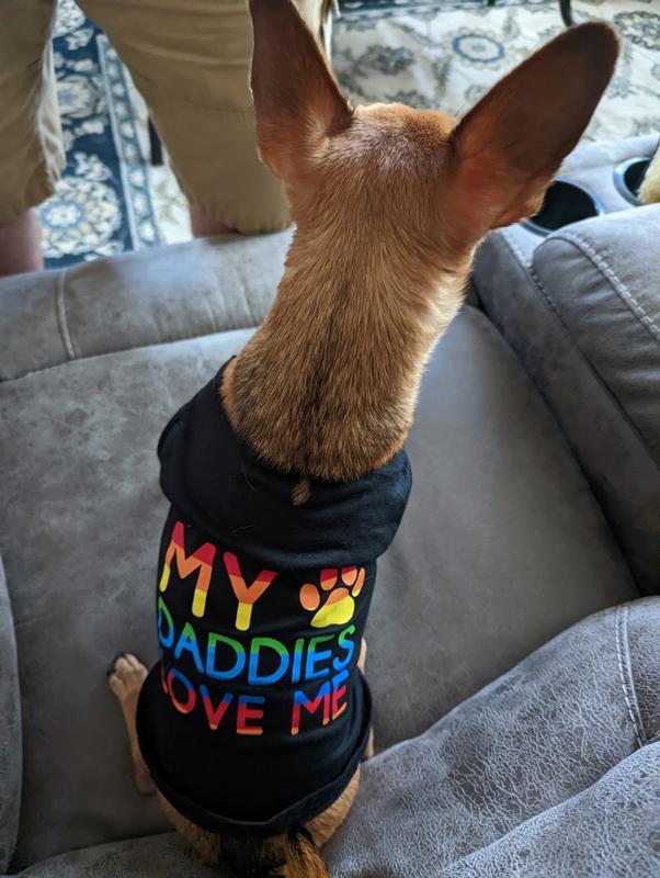 Happy pupper
