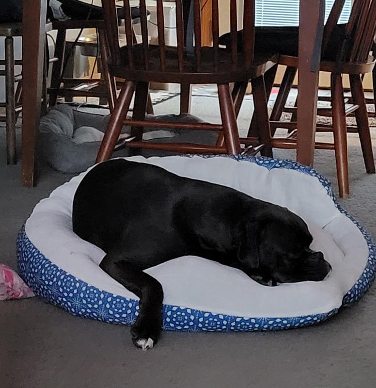 sleeping in Nester bed
