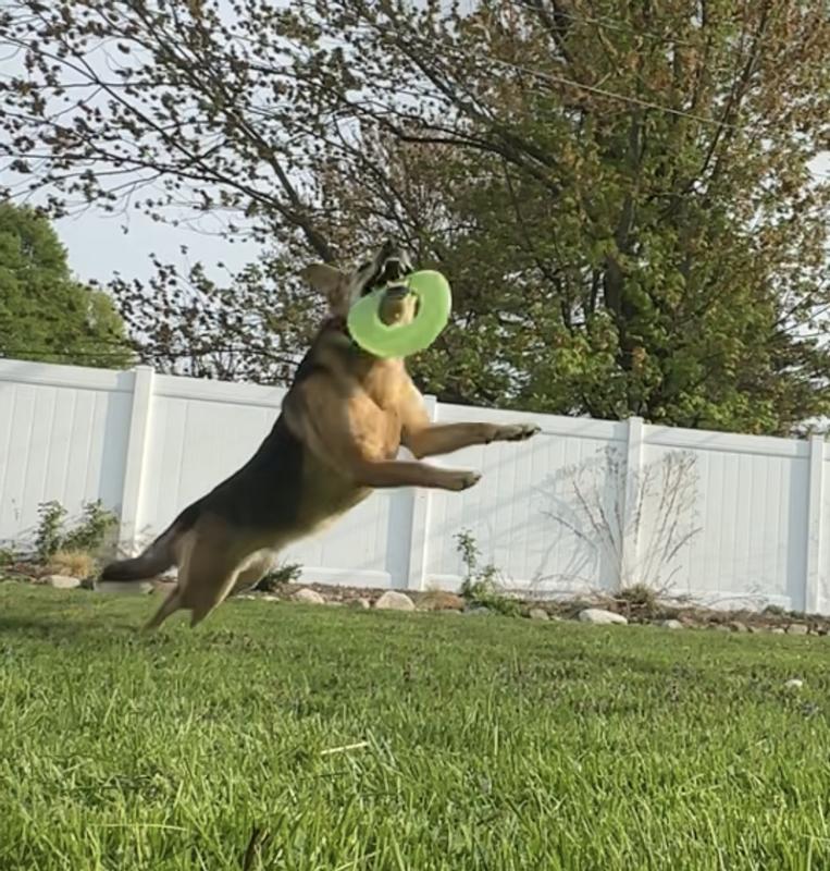 Catch!