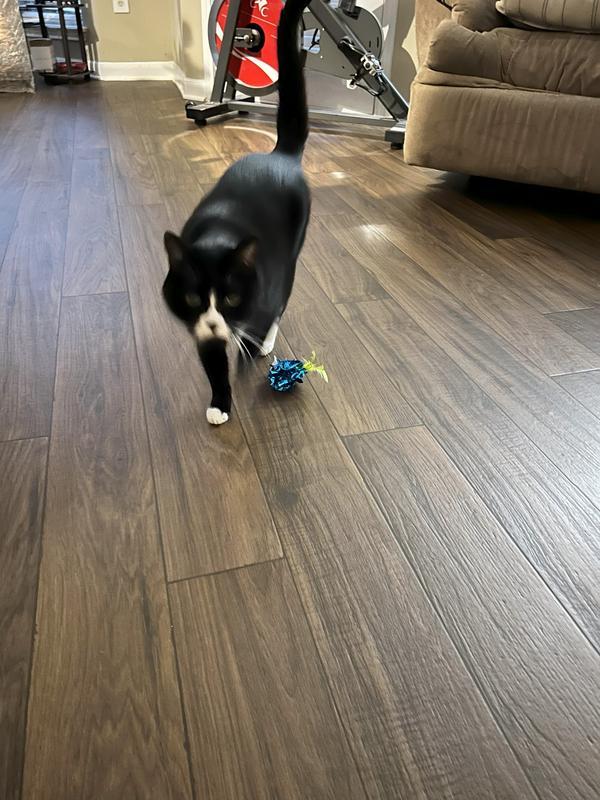 After playing