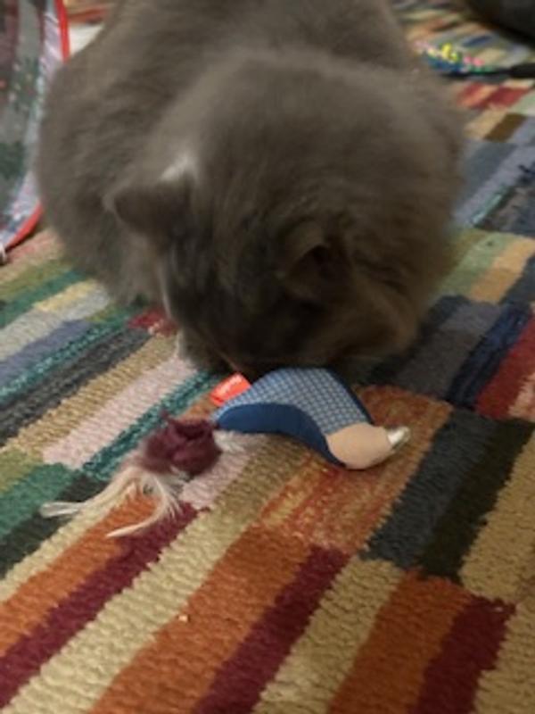 Testing the smells
