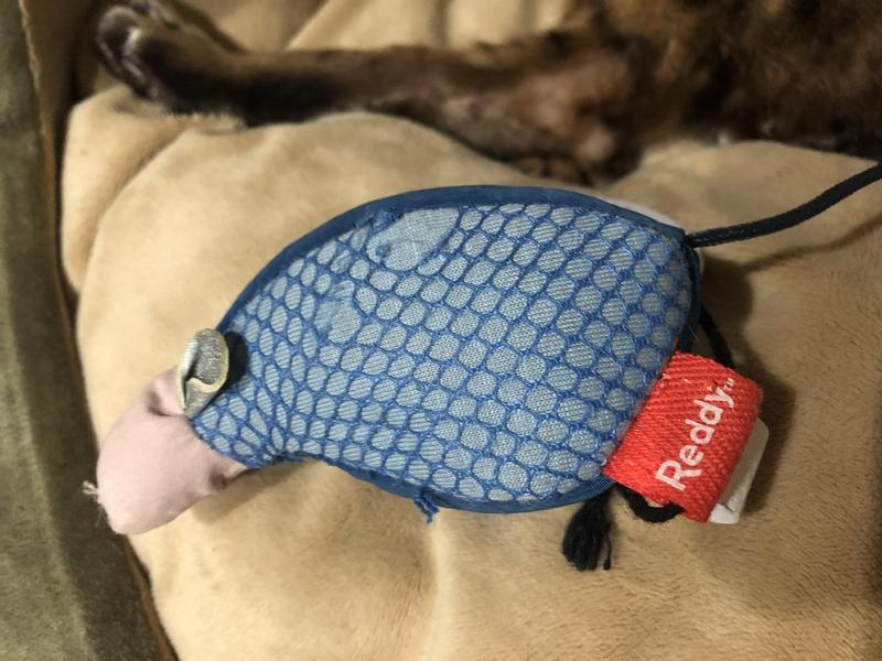 Mesh damage on side 2