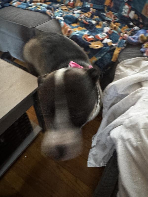 She wouldn’t stop moving