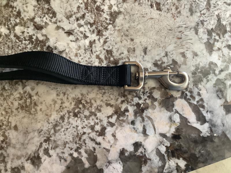 Sturdy clip for bigger/stronger dogs