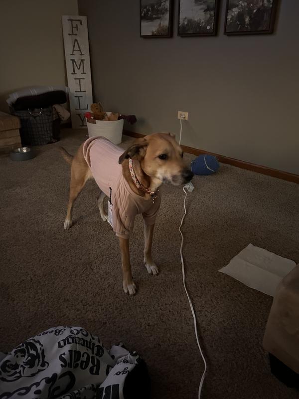 Nice fit