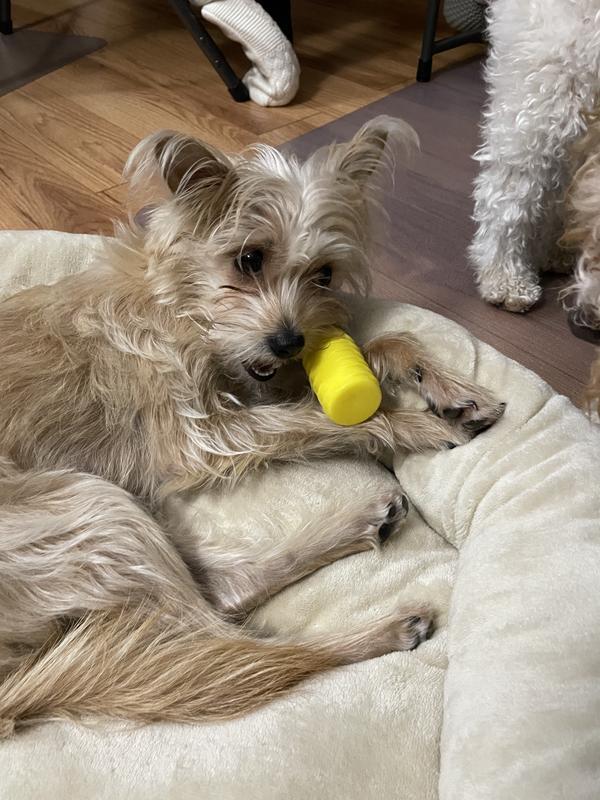 Photo - commentaire 4.