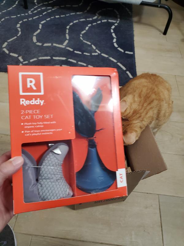 The toys in their original packaging, with a cat investigating the apparently catnip-scented shipping box.
