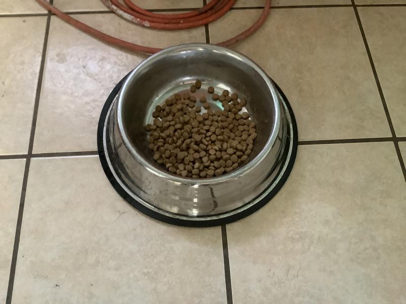 Food stays in bowl where it belongs!