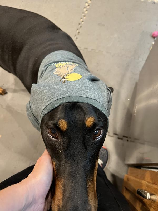 Great as a shirt or hat 😂