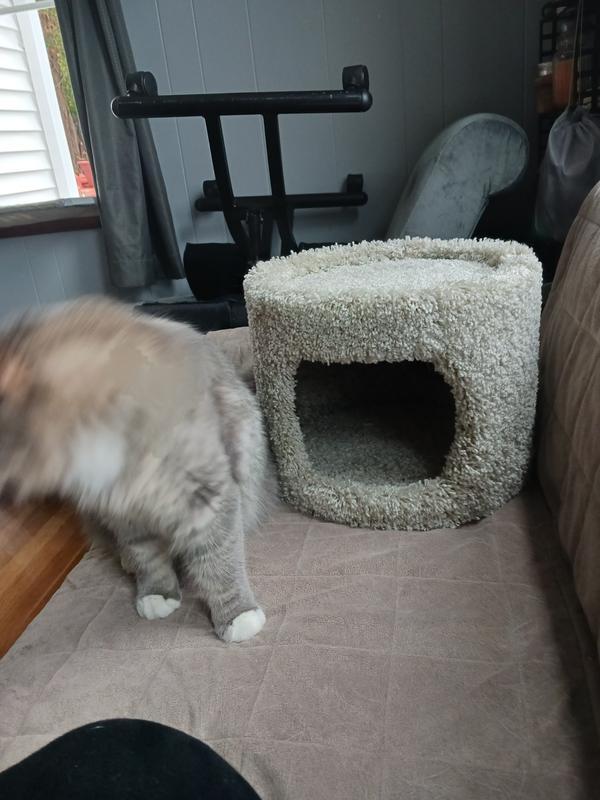 A little too small for me mom, I'm a growing boy.