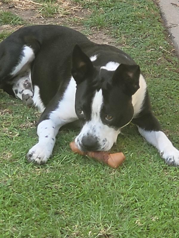 Loving the Bones
