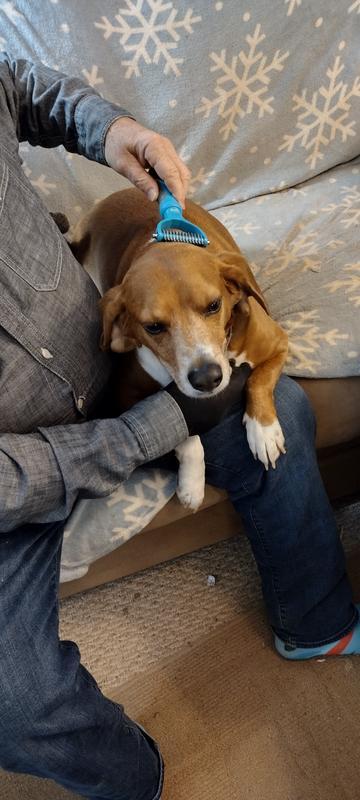 Enjoying grooming time