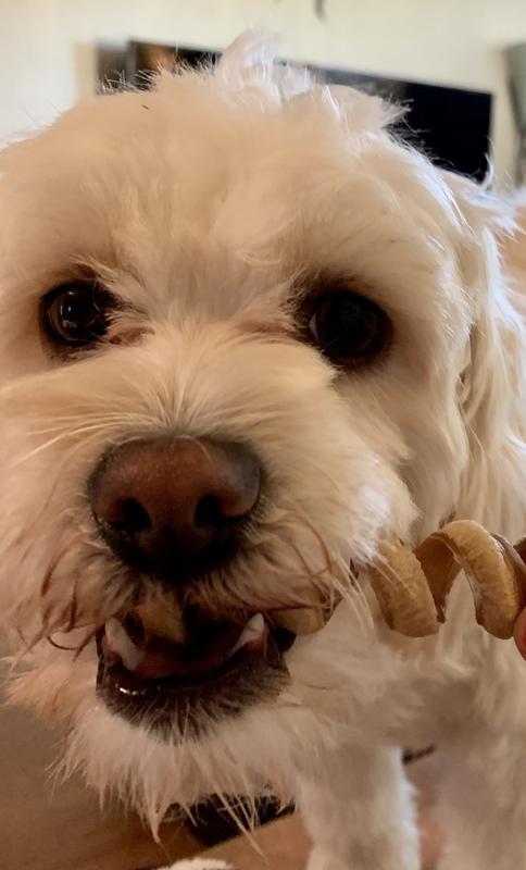 My favorite chewing treat!