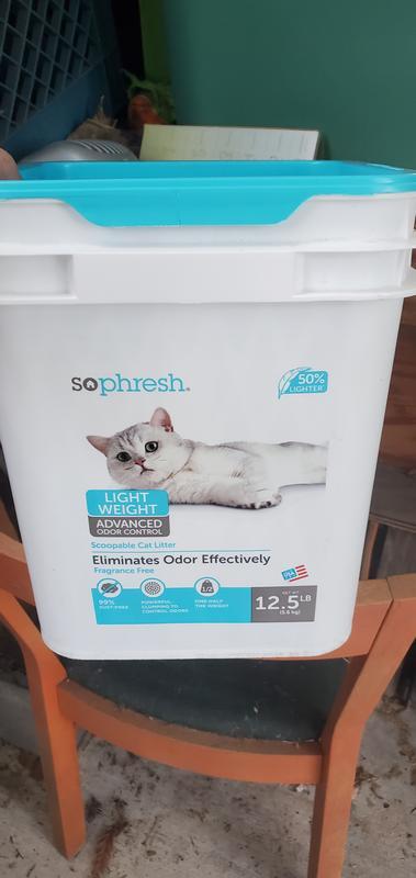 Dead fish skin cat litter