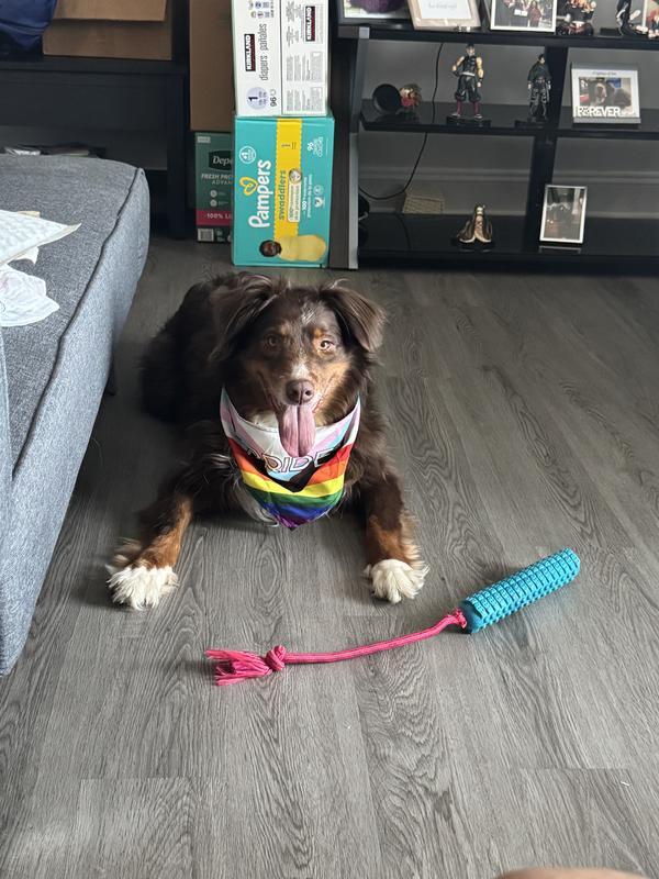 Happy pride